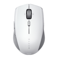 Preview: Razer PRO CLICK MINI