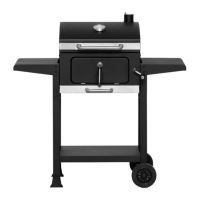 Preview: Mustang LAGUNA