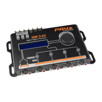 Preview: PRV Audio DSP 2.4X