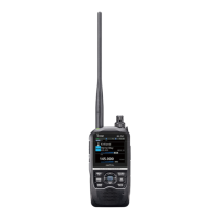 Preview: Icom ID-52A