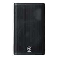 Preview: Yamaha DXR12