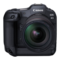 Preview: Canon EOS R3