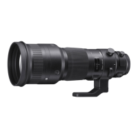 Preview: Sports AF 500mm f/4 DG OS HSM