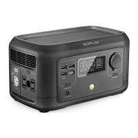 Preview: EcoFlow RIVER mini
