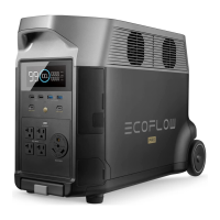 Preview: EcoFlow DELTA Pro
