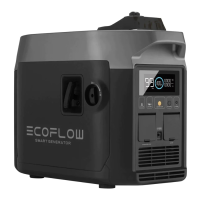 Preview: EcoFlow Smart Generator