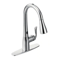 Preview: Moen Motionsense