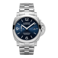 Preview: Panerai Luminor Marina