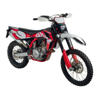 Preview: SWM RS 300 R