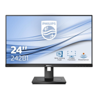 Preview: Philips 242B1