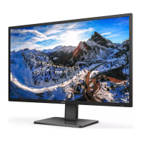 Preview: Philips Brilliance 439P1