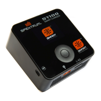 Preview: Spektrum S1100
