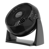 Preview: Lasko Air Flexor