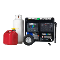 Preview: DUROMAX DUAL FUEL XP13000EH
