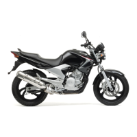 Preview: Yamaha YBR250 2007