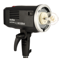 Preview: Godox WITSTRO AD600BM