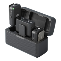 Preview: dji MIC