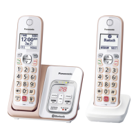 Preview: Panasonic Link2Cell KX-TGD862
