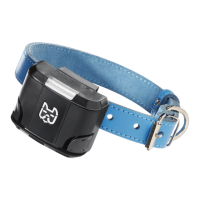 Preview: Wagz FREEDOM SMART DOG COLLAR