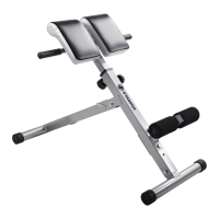 Preview: Hyperextension Bench 2014