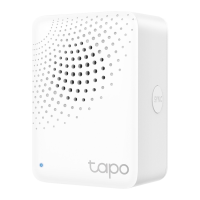 Preview: TP-Link Tapo H100