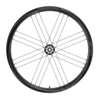 Preview: CAMPAGNOLO SHAMAL CARBON