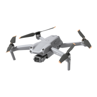 Preview: dji 2S