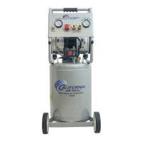 Preview: California Air Tools 10020CAD