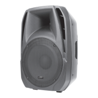 Preview: American Audio ELS15 BT
