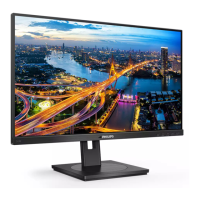 Preview: Philips 243B1