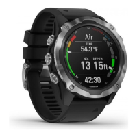 Preview: Garmin DESCENT MK2
