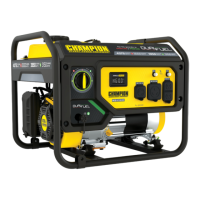 Preview: Champion Power Equipment 200965