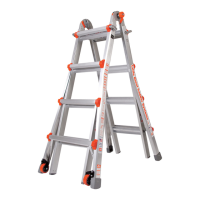 Preview: Little Giant Ladder 13