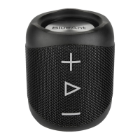 Preview: Blueant X1
