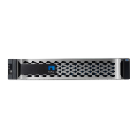 Preview: NetApp AFF A250