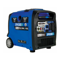 Preview: DUROMAX DUAL FUEL XP4500IH