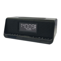 Preview: iHome iBTW450