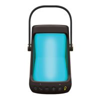Preview: iHome iBT91