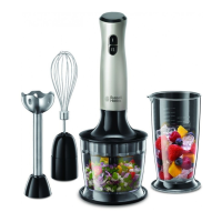 Preview: Russell Hobbs RHSM5BLK