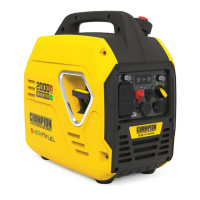 Preview: Champion Power Equipment 100900