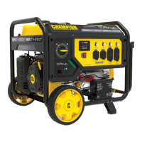 Preview: Champion Power Equipment 100891