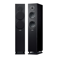 Preview: Yamaha NS-F150