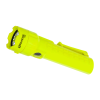 Preview: NightStick XPP-5422G