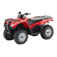 Preview: Honda TRX420FA 2009