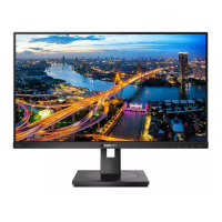 Preview: Philips 245B1