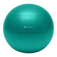 Preview: Gaiam Stability Ball