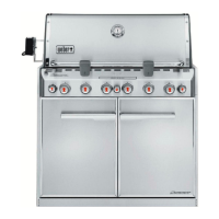 Preview: Weber Summit 460