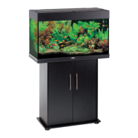 Preview: juwel Rio 125