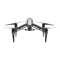 Preview: dji Inspire 2 Series