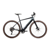 Bicycle Logo